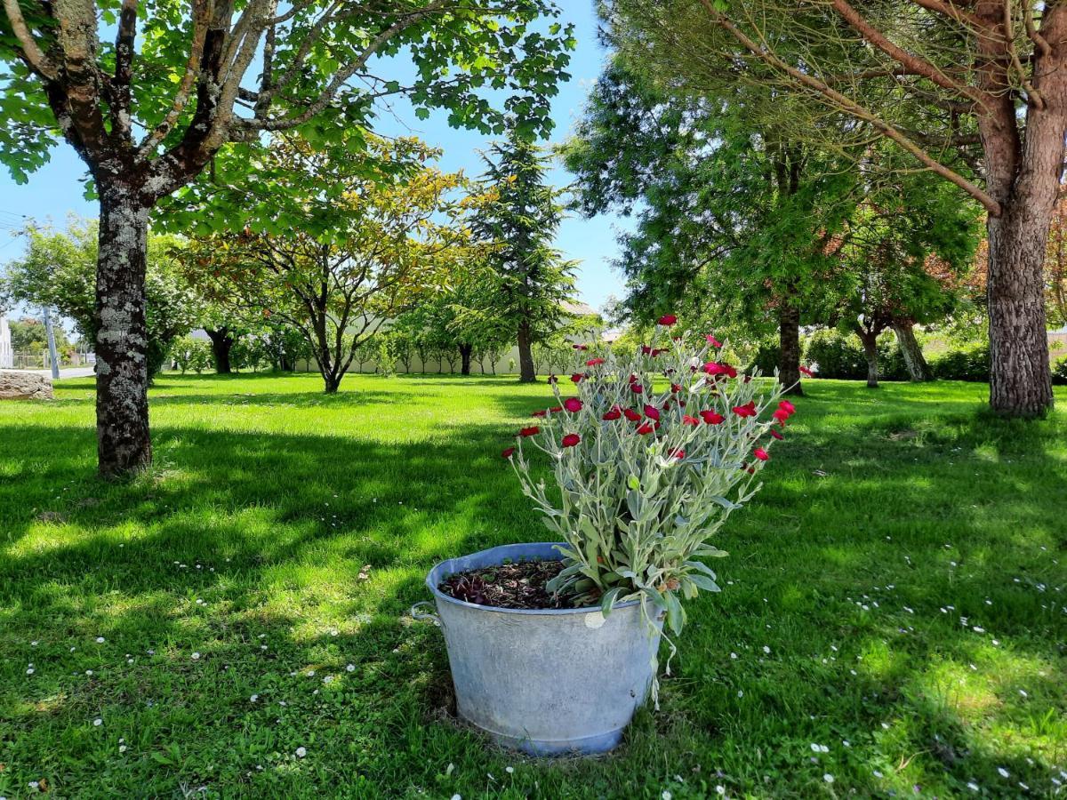 Gite De La Garenne Διαμέρισμα Cozes Εξωτερικό φωτογραφία